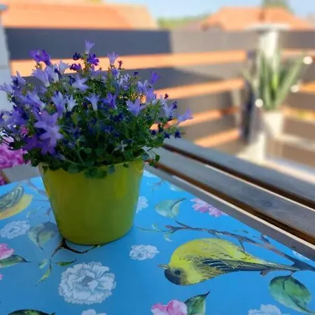 Lexi With Roof Terrace Appartamento Balatonboglár